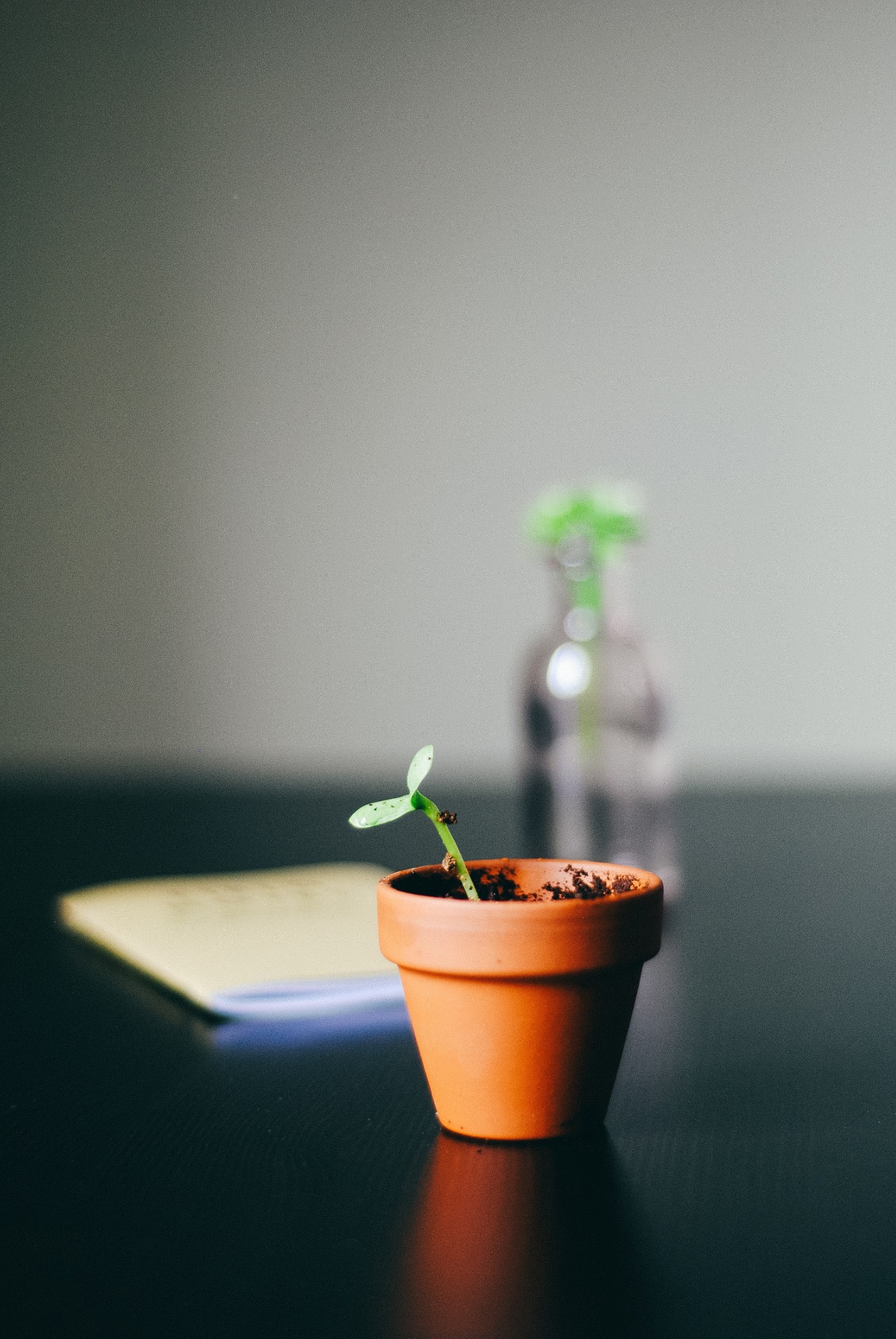 Photo by Hello I'm Nik 🎞 on Unsplash